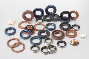 機(jī)械油封與氟膠密封圈的全面解析 生產(chǎn)廠家與價(jià)格指南